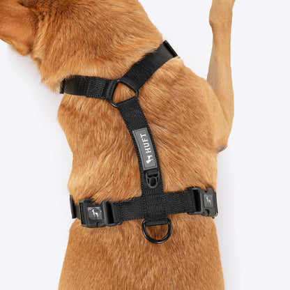 HUFT Classic H Harness for Dogs (Coral Black)