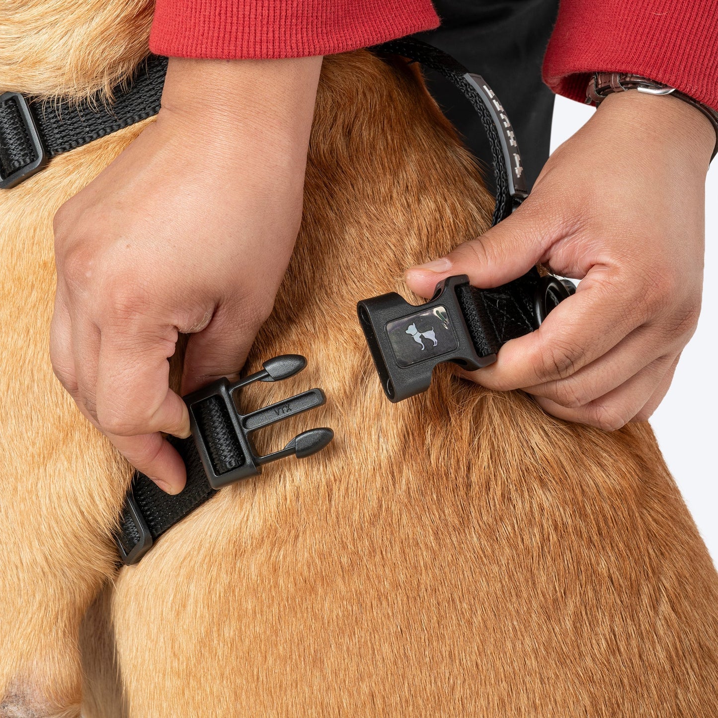 HUFT Classic H Harness for Dogs (Coral Black)