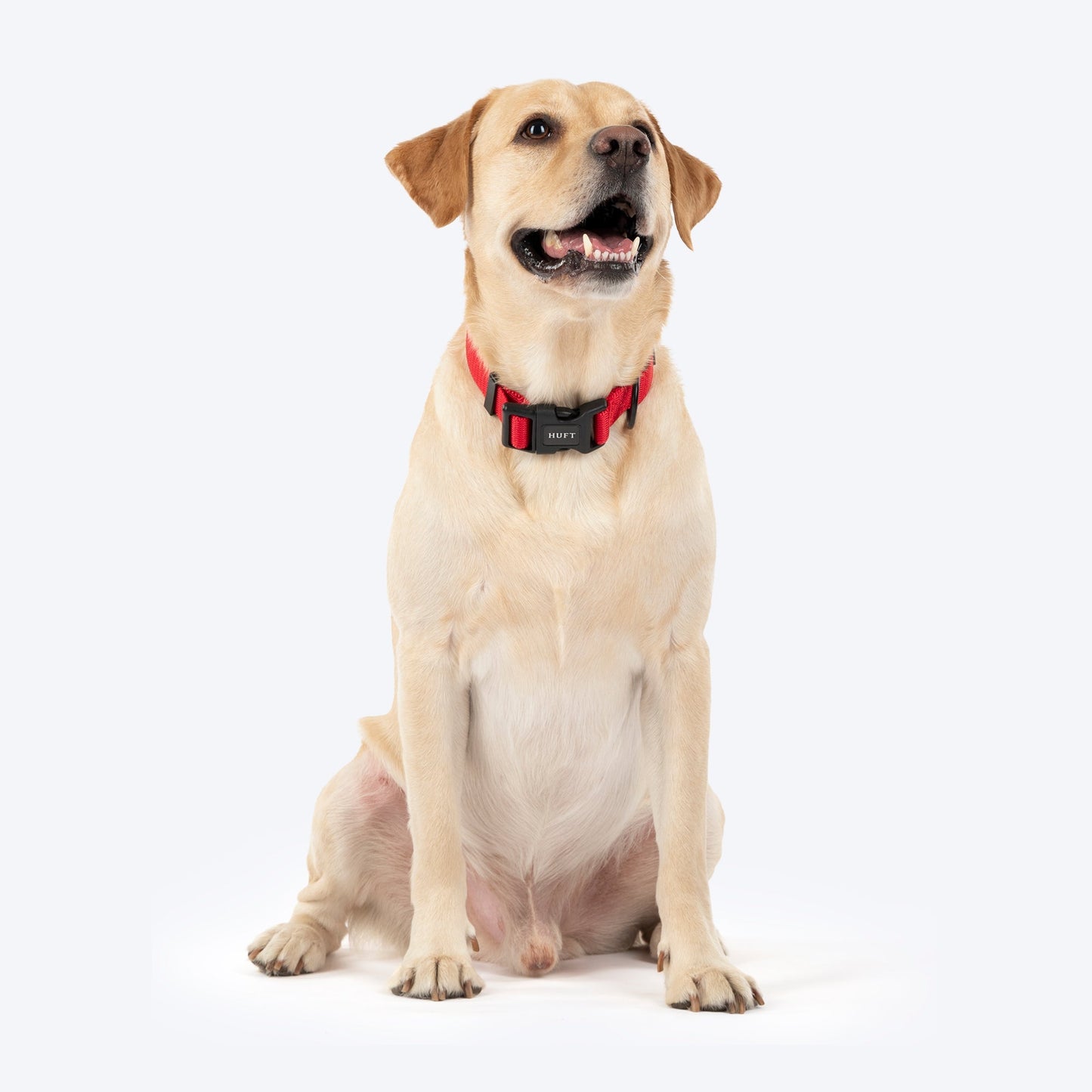 HUFT Classic D Ring Collar for Dogs (Cherry Red)
