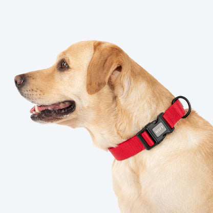 HUFT Classic D Ring Collar for Dogs (Cherry Red)