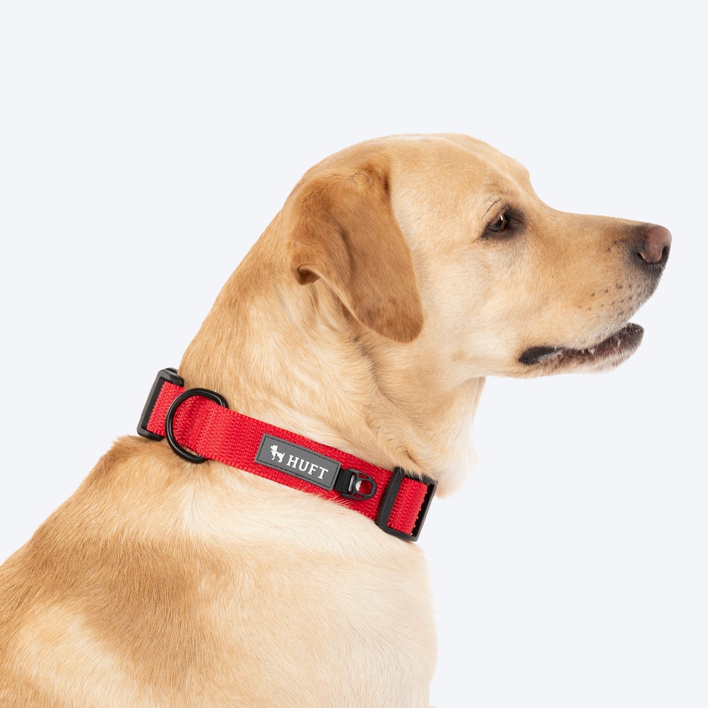 HUFT Classic D Ring Collar for Dogs (Cherry Red)