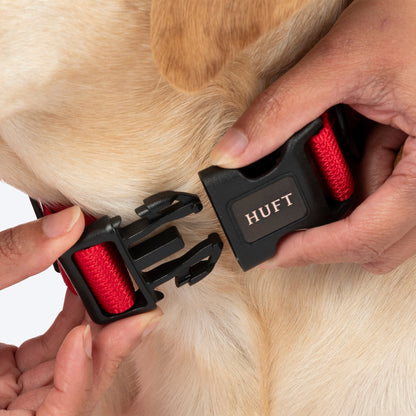 HUFT Classic D Ring Collar for Dogs (Cherry Red)