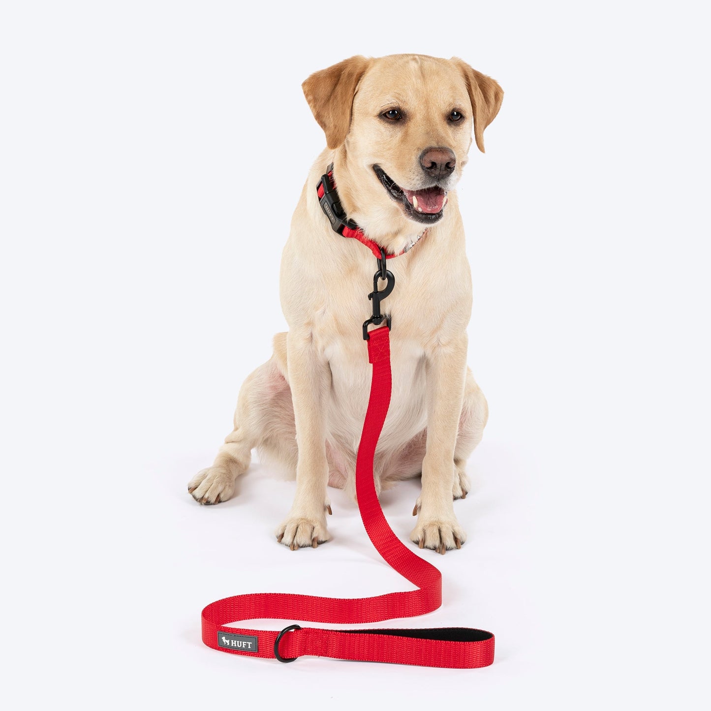 HUFT Classic Leash for Dogs (Cherry Red)