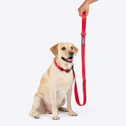 HUFT Classic Leash for Dogs (Cherry Red)