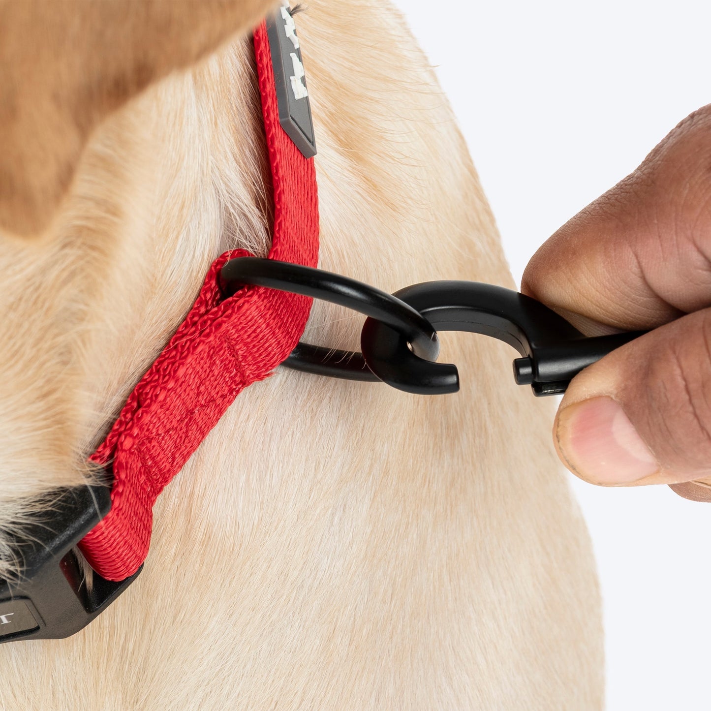 HUFT Classic Leash for Dogs (Cherry Red)