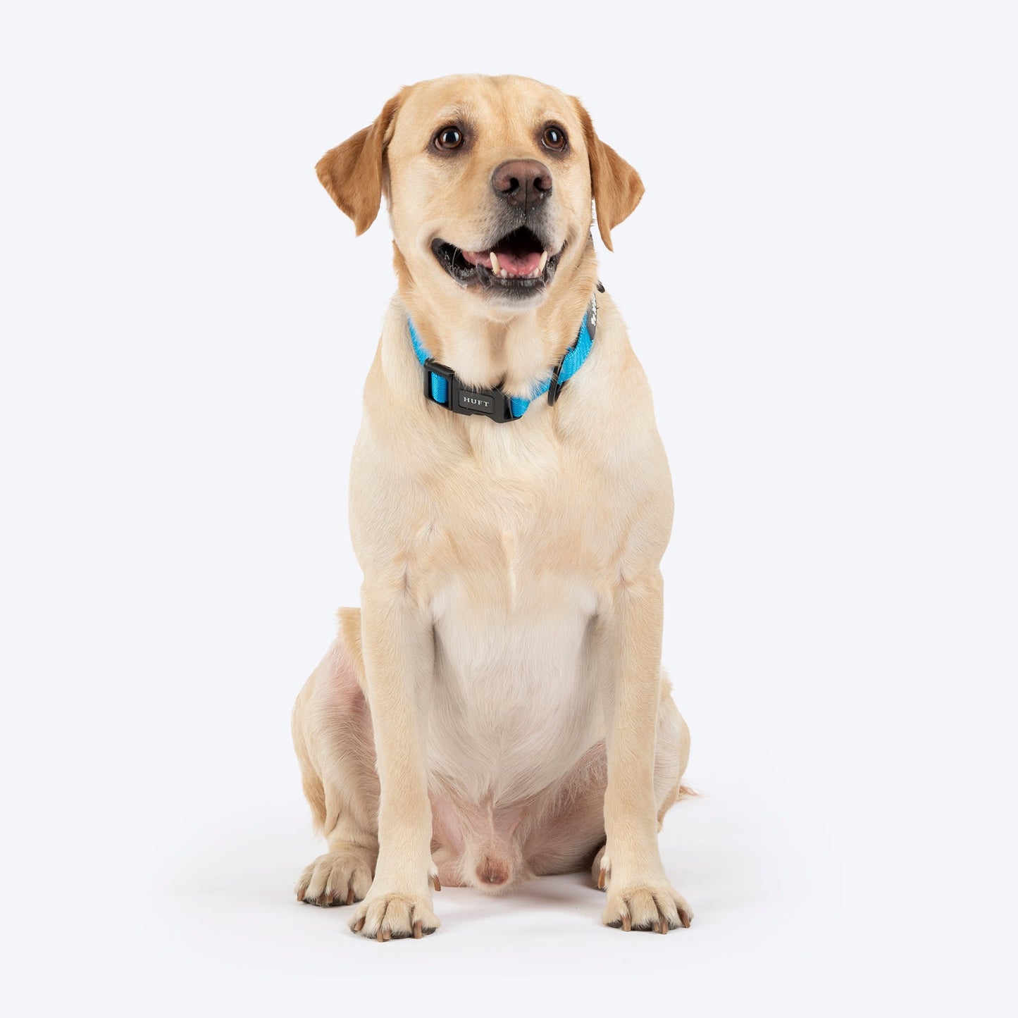 HUFT Classic D Ring Collar for Dogs (Ocean Blue)