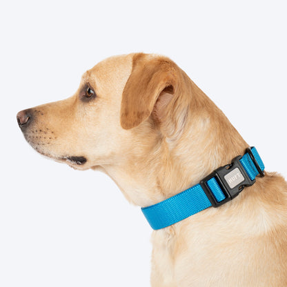 HUFT Classic D Ring Collar for Dogs (Ocean Blue)