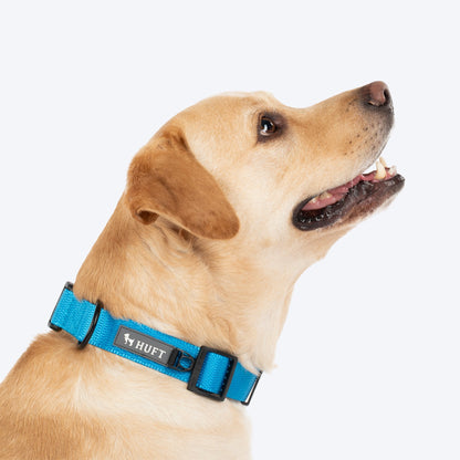 HUFT Classic D Ring Collar for Dogs (Ocean Blue)