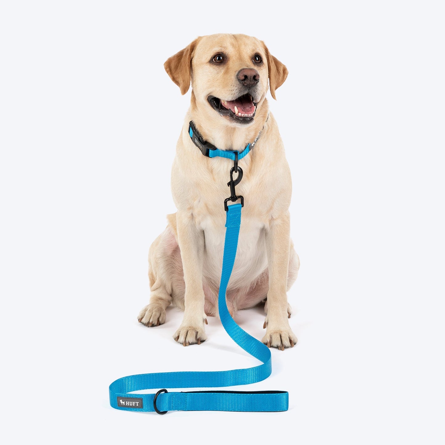 HUFT Classic Leash for Dogs (Ocean Blue)