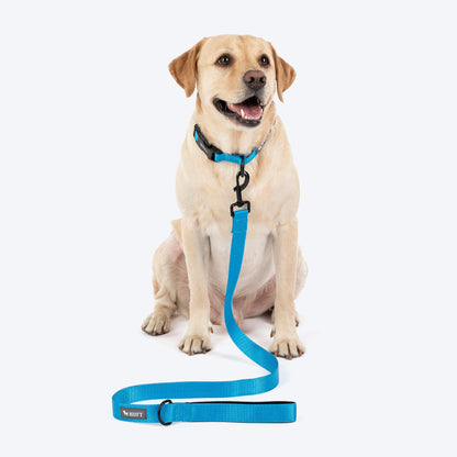 HUFT Classic Leash for Dogs (Ocean Blue)