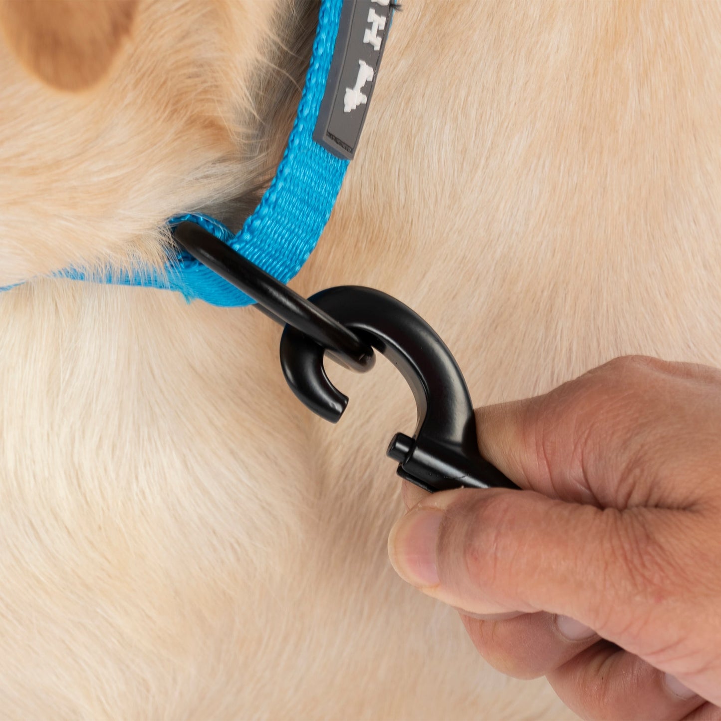 HUFT Classic D Ring Collar for Dogs (Ocean Blue)