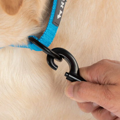 HUFT Classic D Ring Collar for Dogs (Ocean Blue)