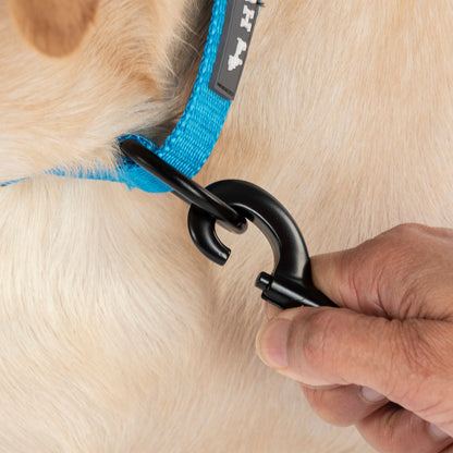 HUFT Classic Leash for Dogs (Ocean Blue)