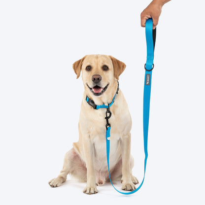 HUFT Classic Leash for Dogs (Ocean Blue)