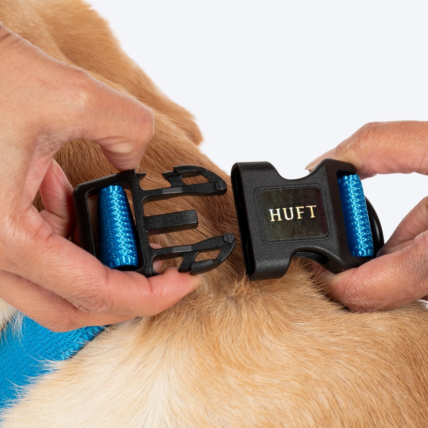 HUFT Classic D Ring Collar for Dogs (Ocean Blue)