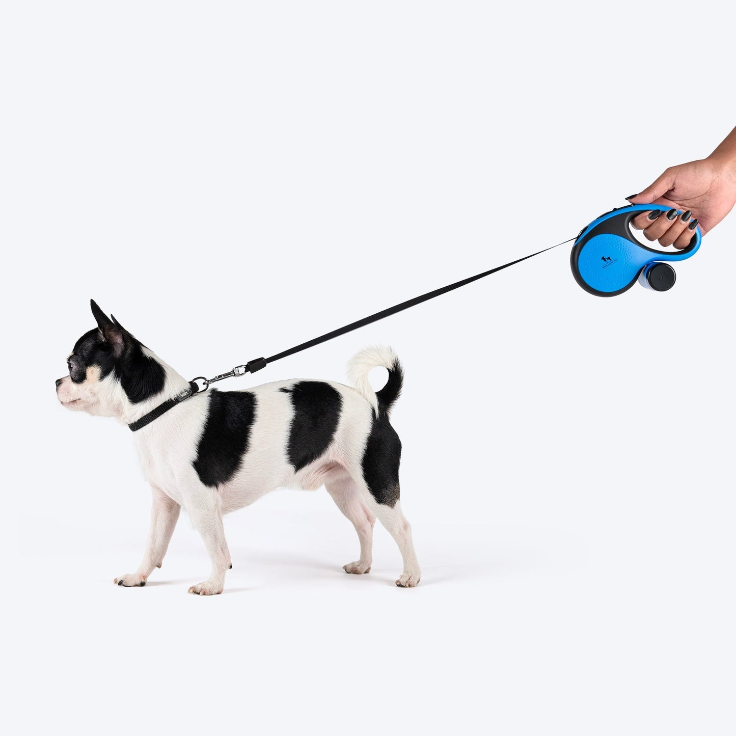 HUFT Retractable Leash With Poop Bag Dispenser for Dogs (Blue)
