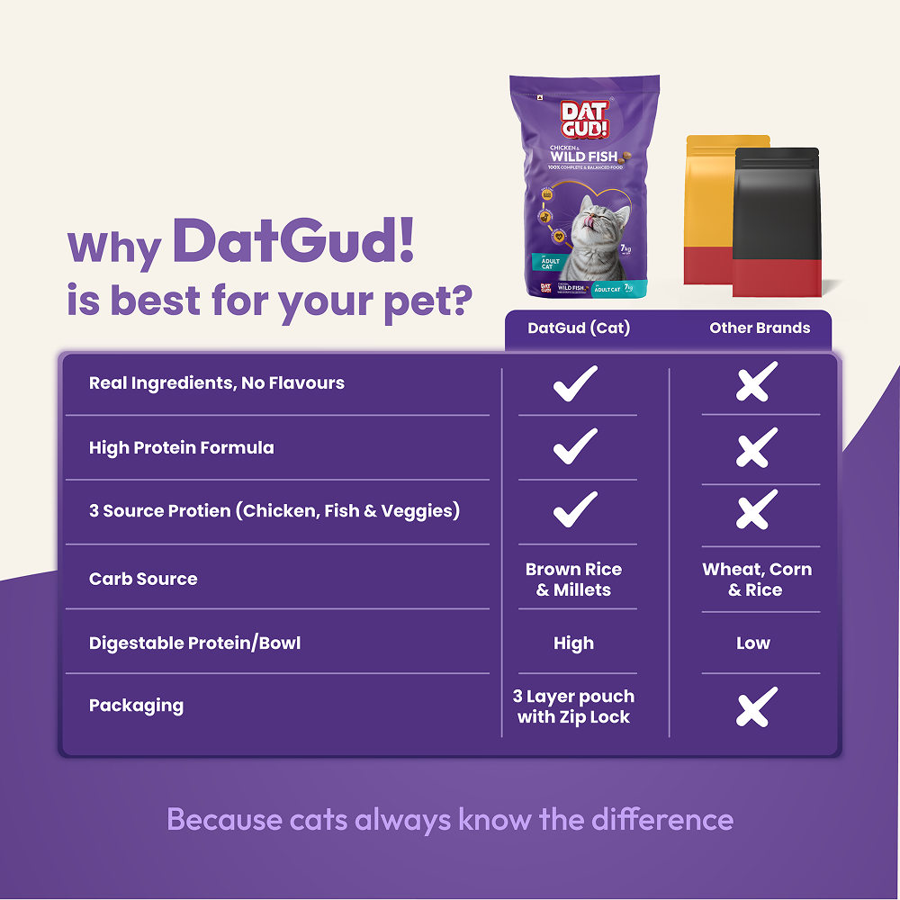 DatGud Chicken & Wild Fish Adult Cat Dry Food