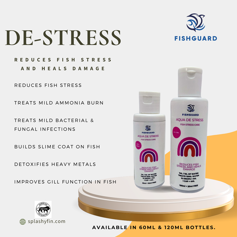 Splashy Fin FishGuard Aqua De Care Stress for Fish