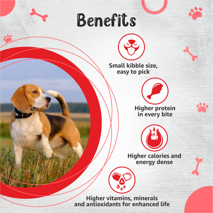 Drools Premium Small Breed Adult Dog Dry Food