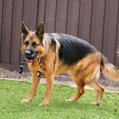 Kong Extreme Ball with Rope Toy for Dogs (Black)