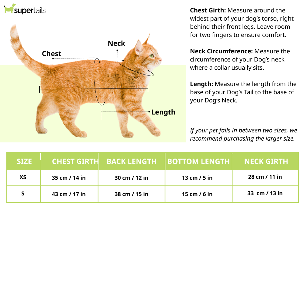Pawsindia Kolkata Knight Biters T20 Pets Premier League Jersey for Cats | Indian Pet League