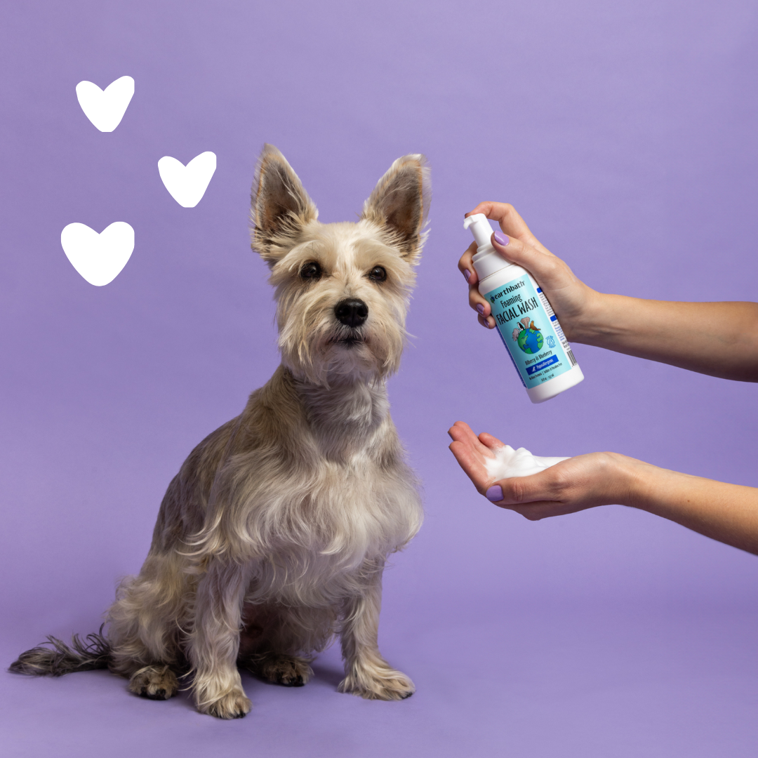 EarthBath Bilberry and Blueberry Scented Foaming Face Wash for Dogs and Cats