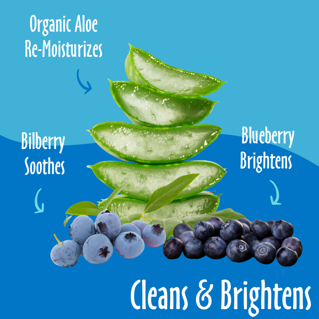 EarthBath Bilberry and Blueberry Scented Foaming Face Wash for Dogs and Cats