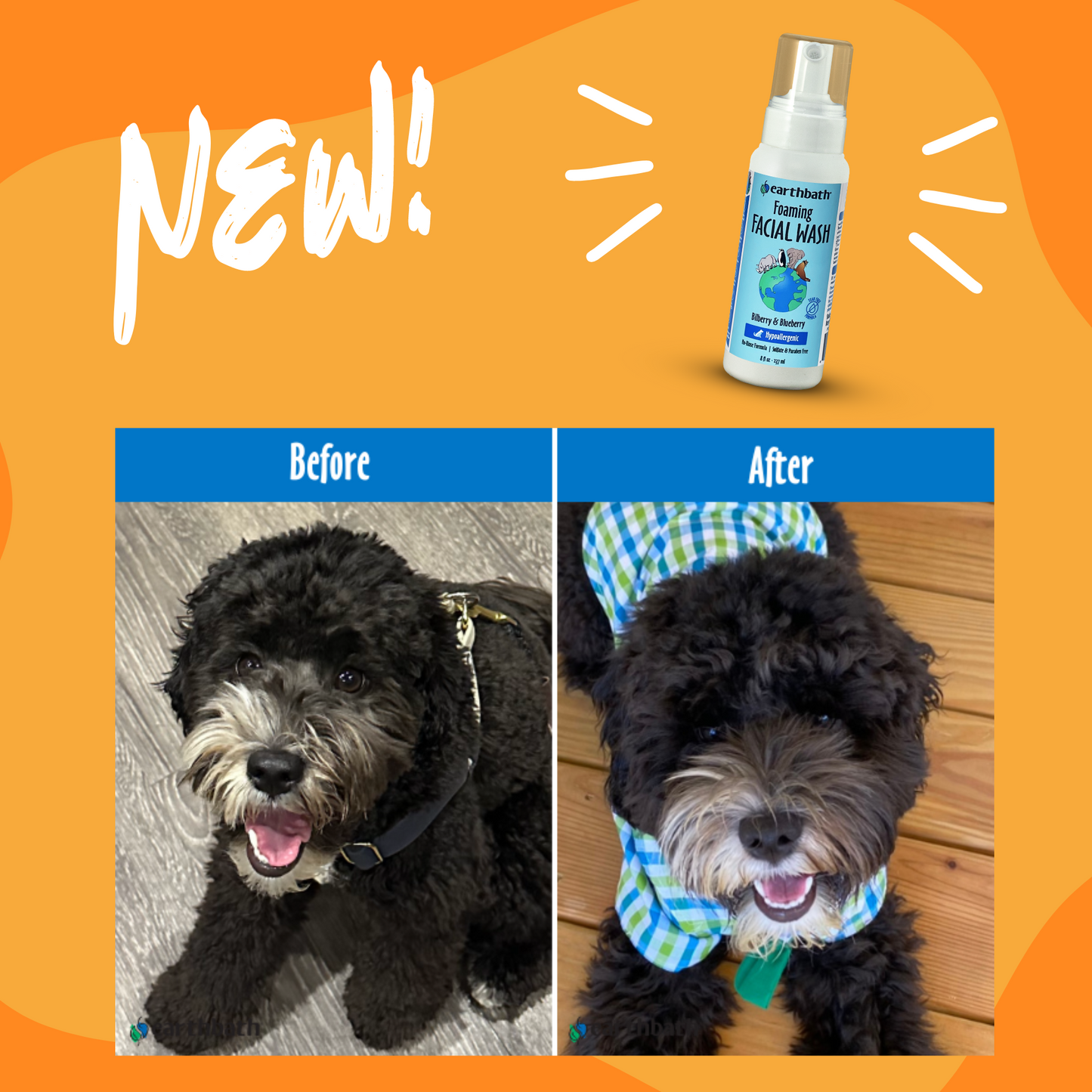 EarthBath Bilberry and Blueberry Scented Foaming Face Wash for Dogs and Cats