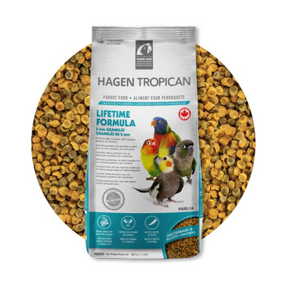 Hagen Tropican Lifetime Formula Bird Food
