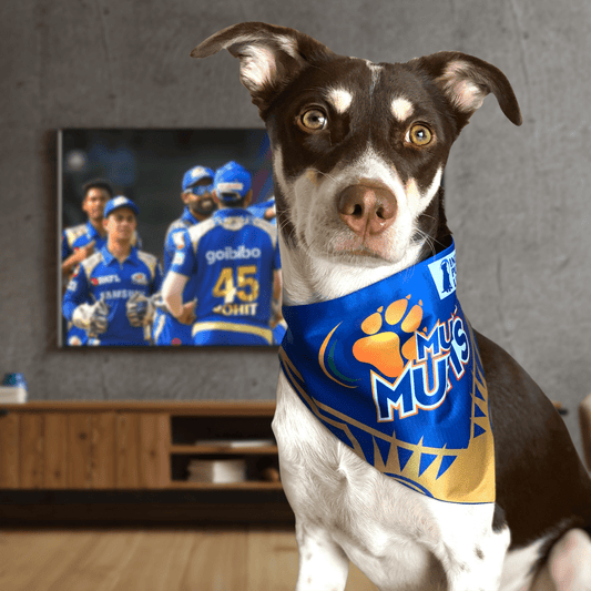 Barkbutler Mumbai Mutts Bandana for Dogs | Indian Pet League