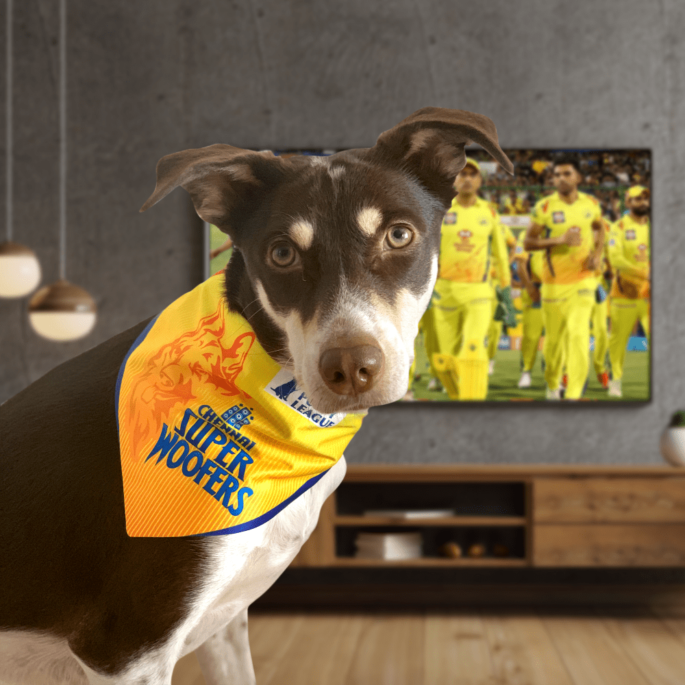 Barkbutler Chennai Super Woofers Bandana for Dogs | Indian Pet League