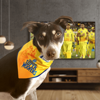 Barkbutler Chennai Super Woofers Bandana for Dogs | Indian Pet League