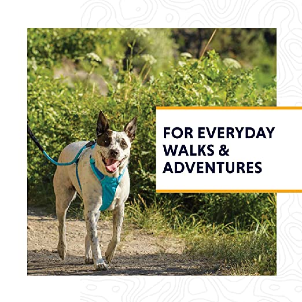 Ruffwear Hi & Light Harness for Dogs (Lichen Green)