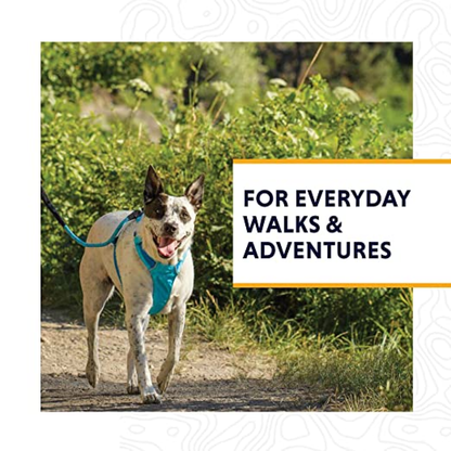 Ruffwear Hi & Light Harness for Dogs (Lichen Green)