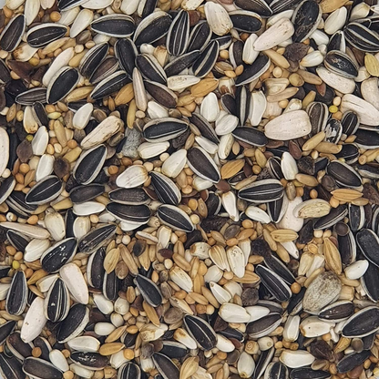 Versele Laga Sunflower Seeds Striped and Prestige Food for Big Parakeets and Birds