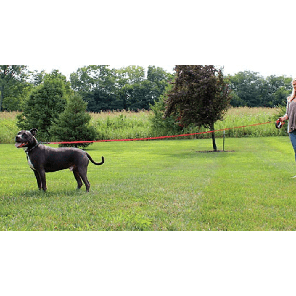 Kong Explore Retractable Leash for Dogs and Cats (Red)
