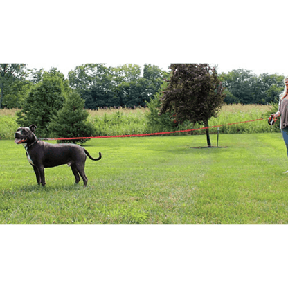 Kong Explore Retractable Leash for Dogs and Cats (Red)
