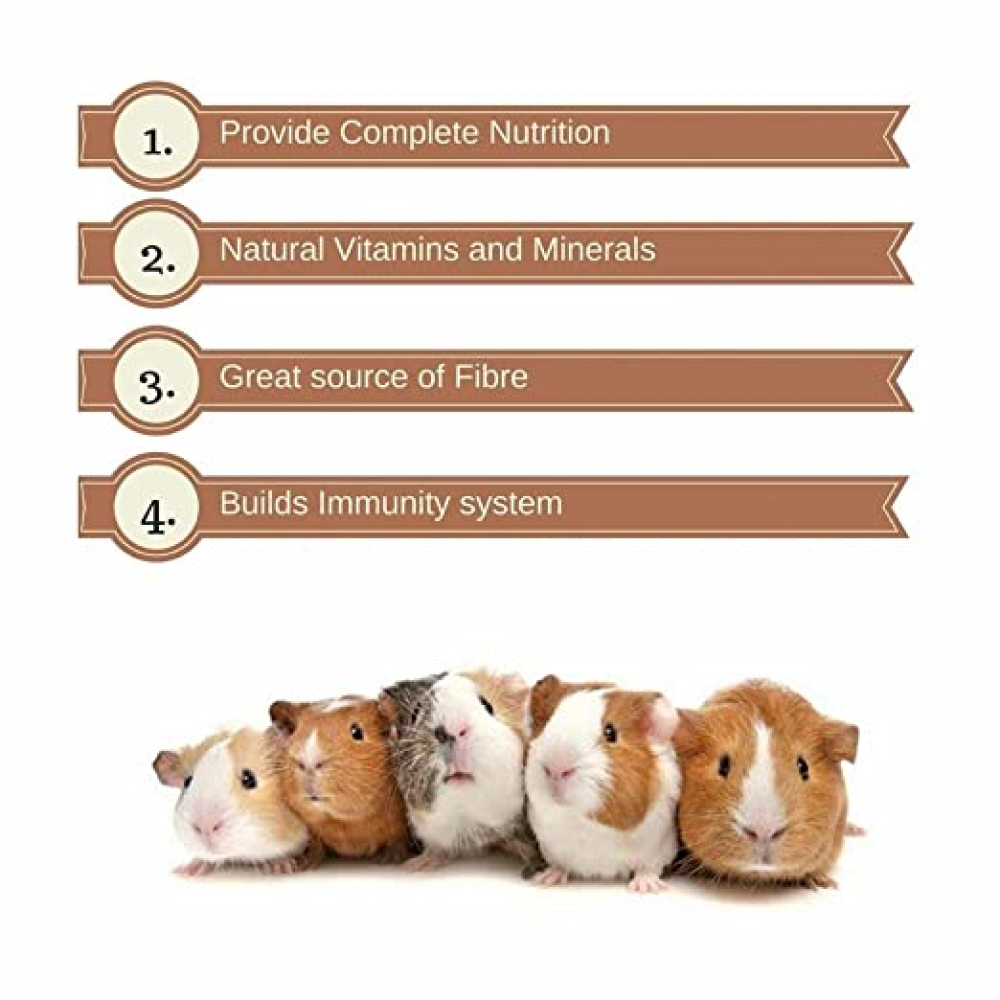 Vitapol Economic and Karmeo Premium Food for Hamster and Guinea Pig Combo