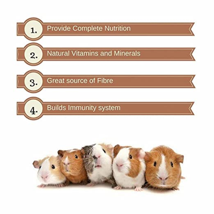Vitapol Economic and Karmeo Premium Food for Hamster and Guinea Pig Combo