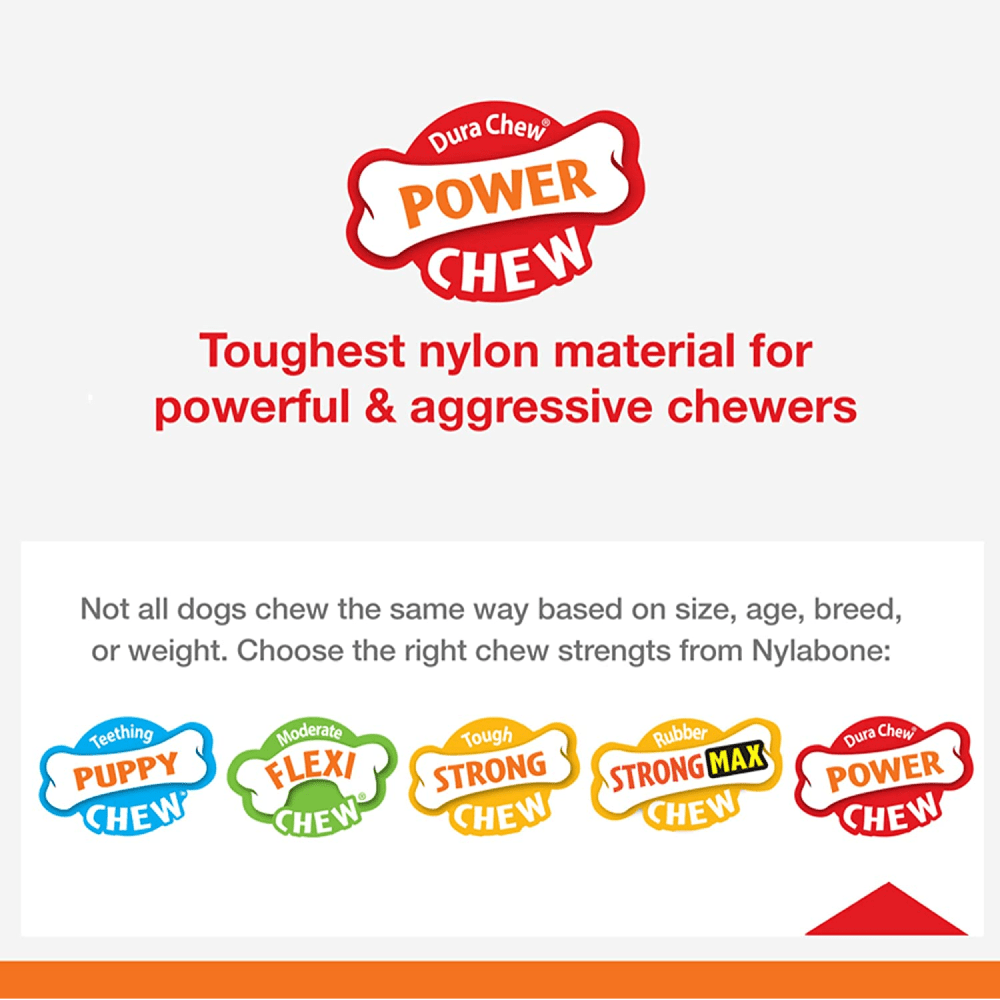 Nylabone Medley Flavoured Textured Power Chew Bone Toy for Dogs (Brown)