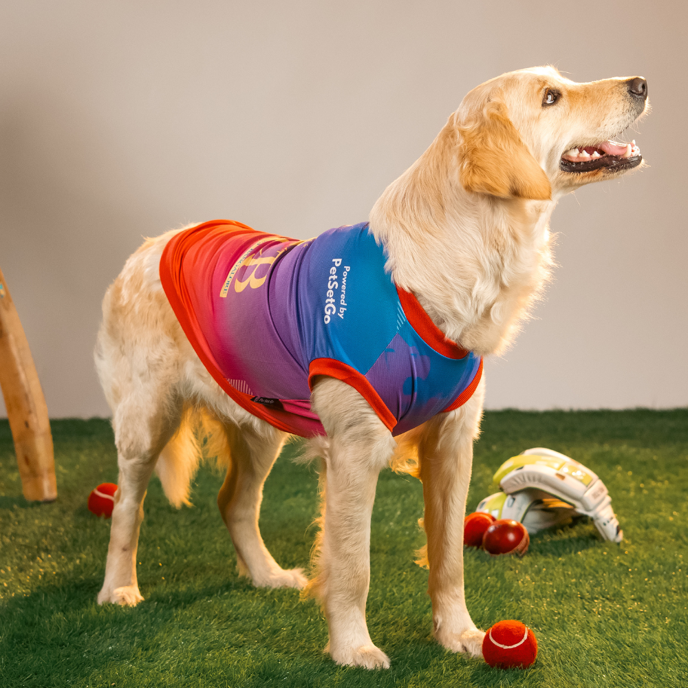 Pet Set Go Loyal Chewers Bangalore IPL Jersey for Dogs (Red) | Indian Pet League