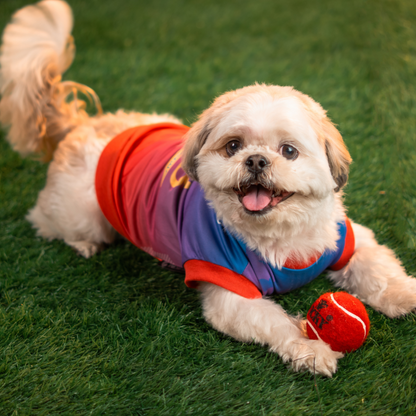 Pet Set Go Loyal Chewers Bangalore IPL Jersey for Dogs (Red) | Indian Pet League