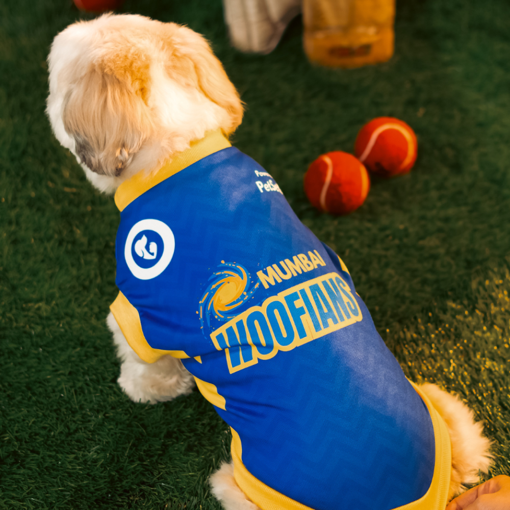 Pet Set Go Mumbai Woofians IPL Jersey for Dogs (Blue) | Indian Pet League