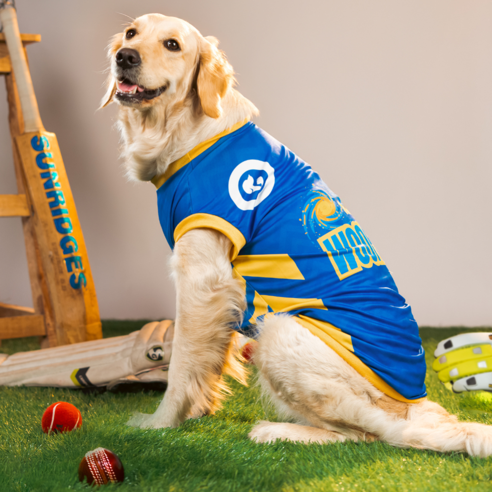 Pet Set Go Mumbai Woofians IPL Jersey for Dogs (Blue) | Indian Pet League