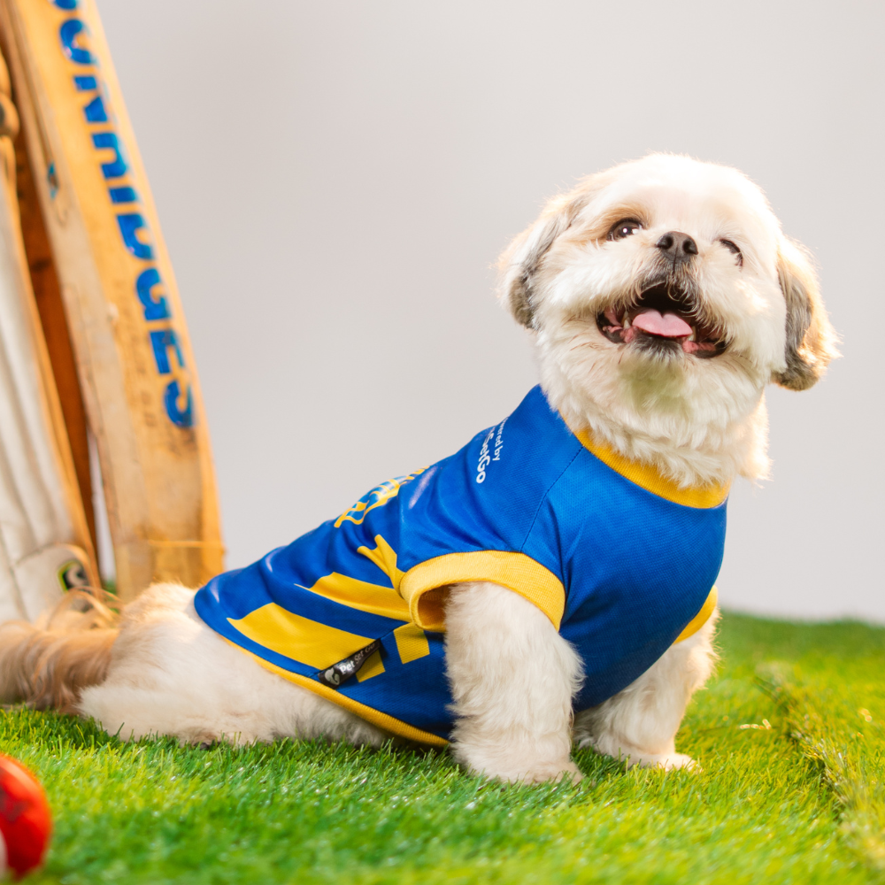 Pet Set Go Mumbai Woofians IPL Jersey for Dogs (Blue) | Indian Pet League