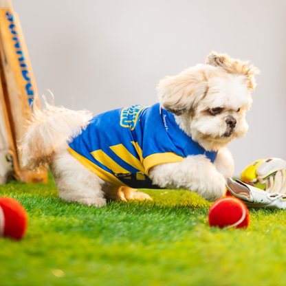 Pet Set Go Mumbai Woofians IPL Jersey for Dogs (Blue) | Indian Pet League