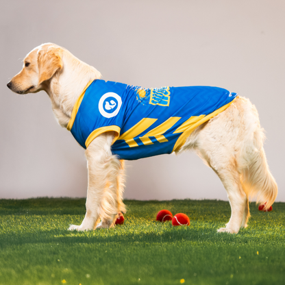 Pet Set Go Mumbai Woofians IPL Jersey for Dogs (Blue) | Indian Pet League