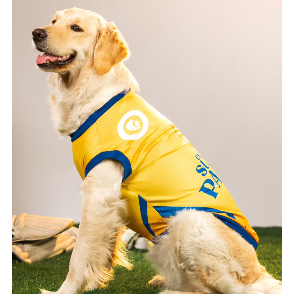 Pet Set Go Chennai Super Paws IPL Jersey for Dogs (Yellow) | Indian Pet League