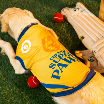 Pet Set Go Chennai Super Paws IPL Jersey for Dogs (Yellow) | Indian Pet League