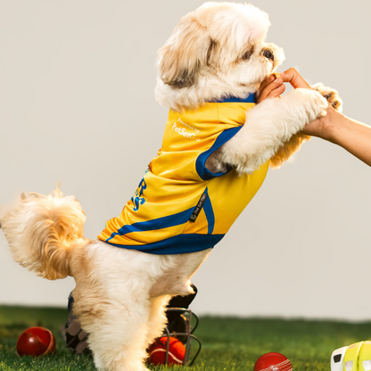 Pet Set Go Chennai Super Paws IPL Jersey for Dogs (Yellow) | Indian Pet League